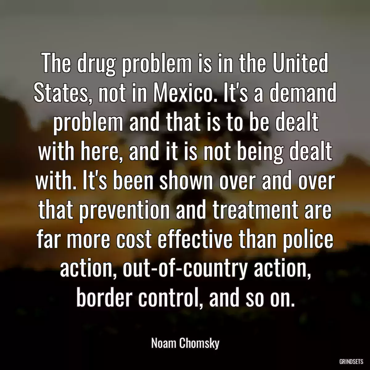 The drug problem is in the United States, not in Mexico. It\'s a demand problem and that is to be dealt with here, and it is not being dealt with. It\'s been shown over and over that prevention and treatment are far more cost effective than police action, out-of-country action, border control, and so on.