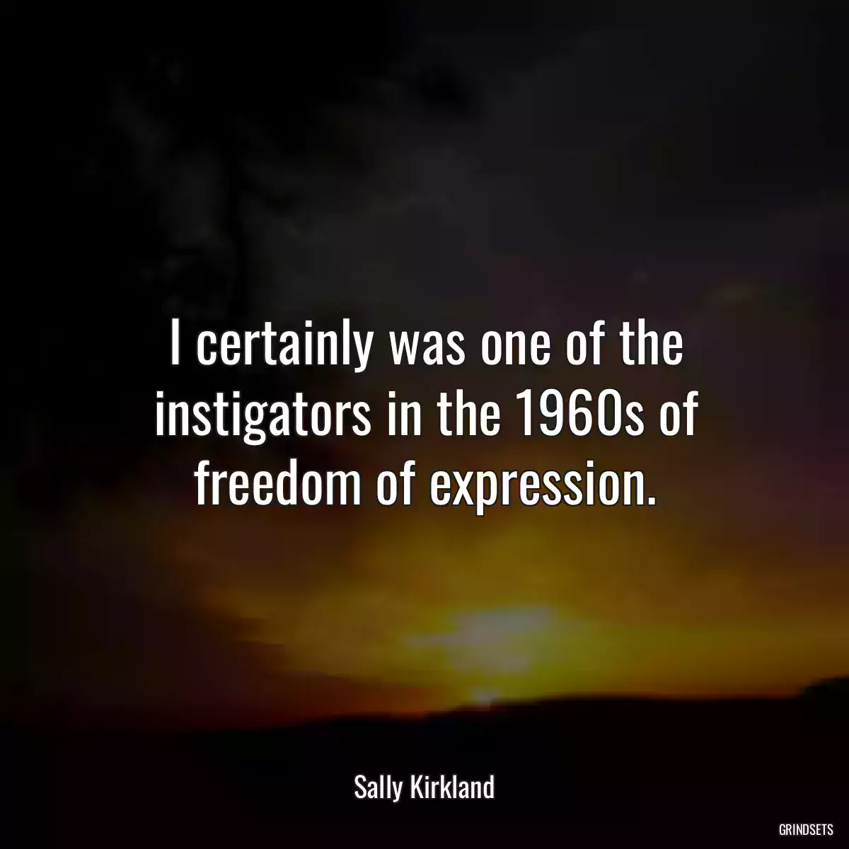 I certainly was one of the instigators in the 1960s of freedom of expression.