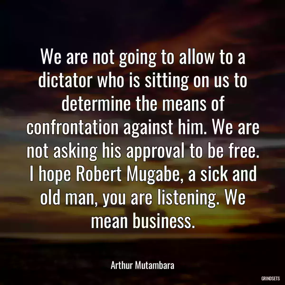 We are not going to allow to a dictator who is sitting on us to determine the means of confrontation against him. We are not asking his approval to be free. I hope Robert Mugabe, a sick and old man, you are listening. We mean business.