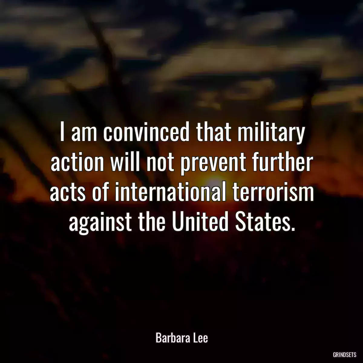 I am convinced that military action will not prevent further acts of international terrorism against the United States.