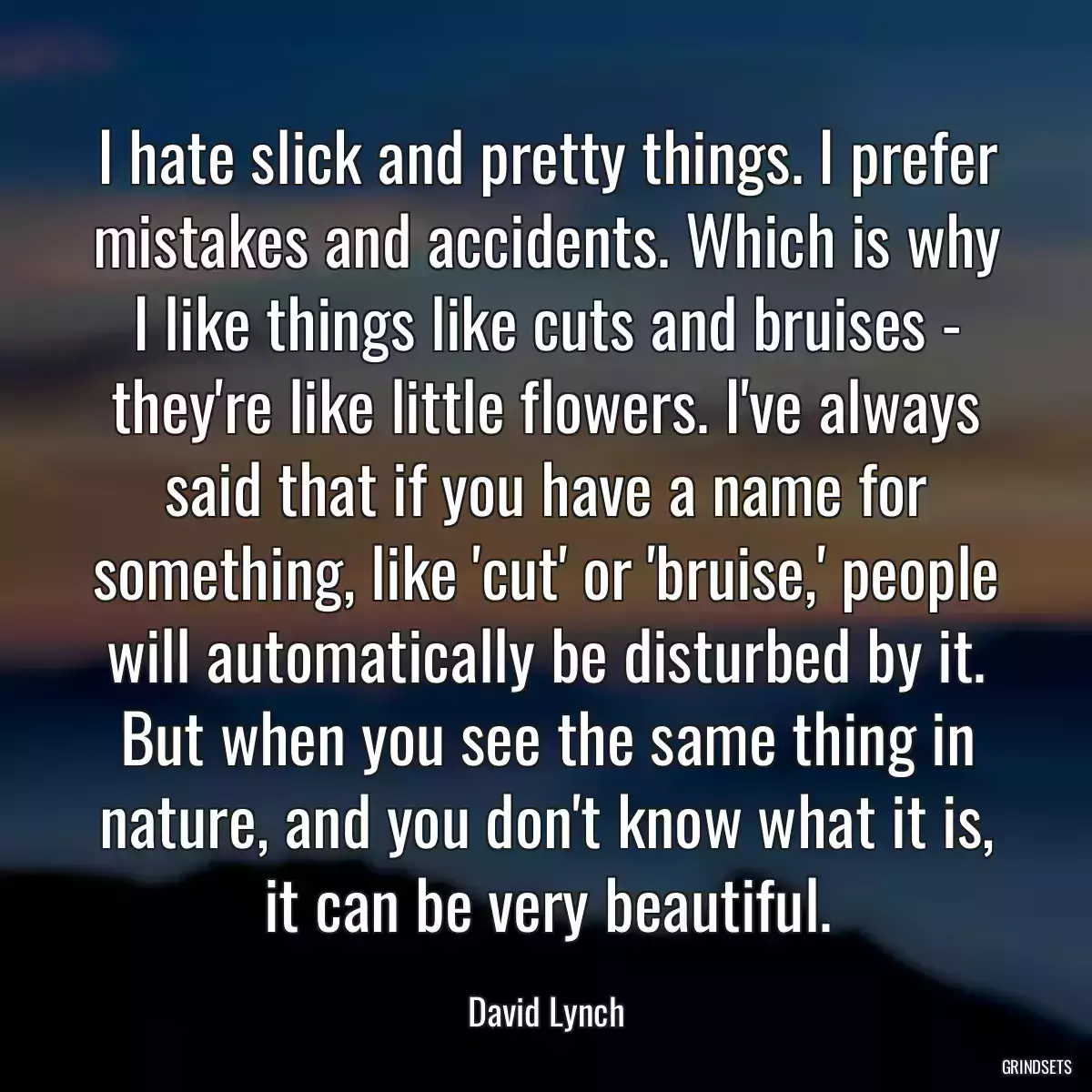 I hate slick and pretty things. I prefer mistakes and accidents. Which is why I like things like cuts and bruises - they\'re like little flowers. I\'ve always said that if you have a name for something, like \'cut\' or \'bruise,\' people will automatically be disturbed by it. But when you see the same thing in nature, and you don\'t know what it is, it can be very beautiful.