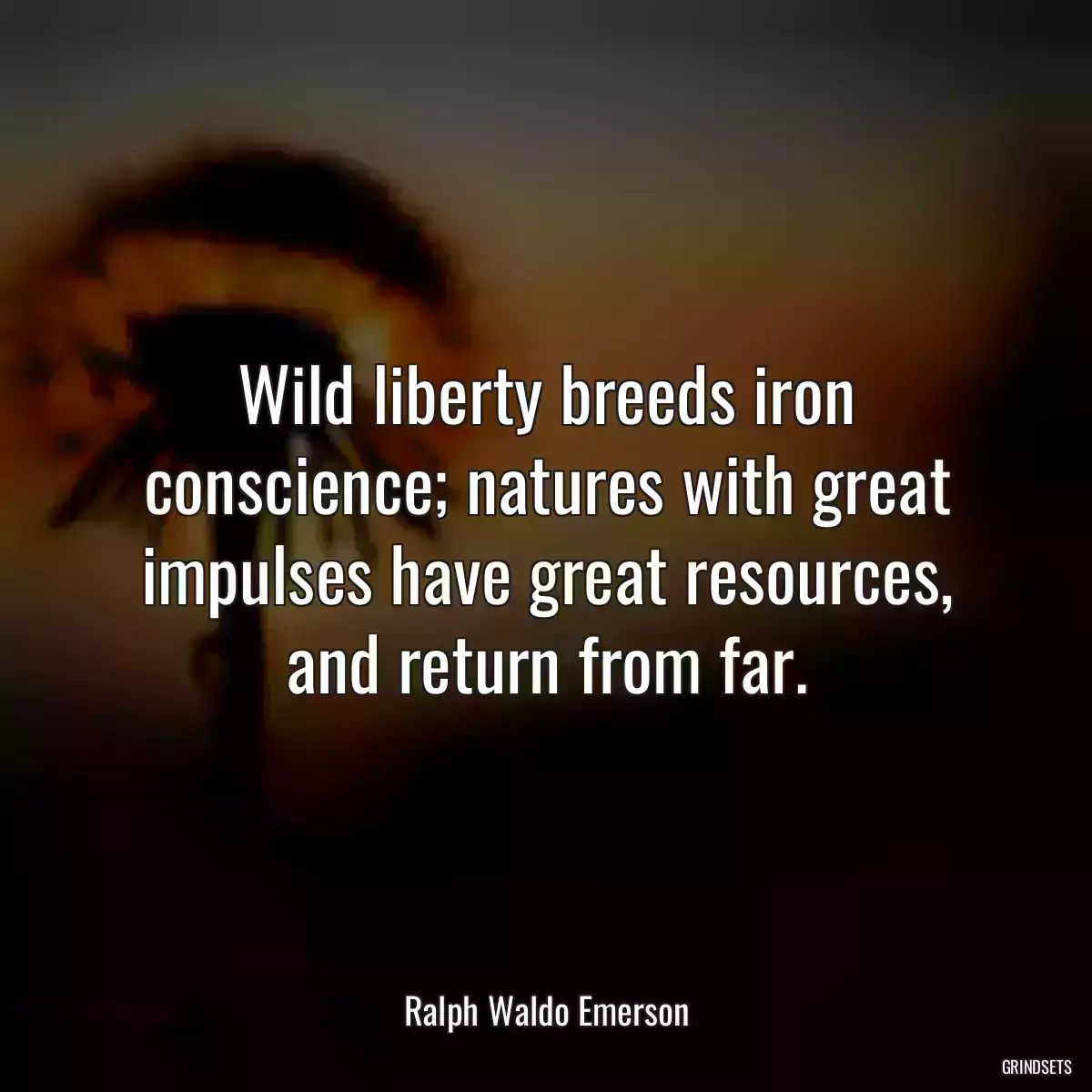 Wild liberty breeds iron conscience; natures with great impulses have great resources, and return from far.