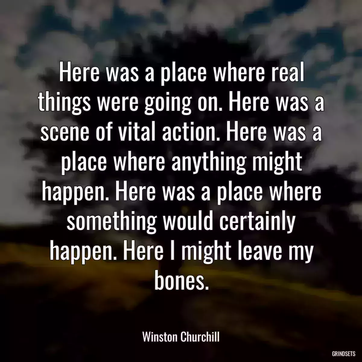 Here was a place where real things were going on. Here was a scene of vital action. Here was a place where anything might happen. Here was a place where something would certainly happen. Here I might leave my bones.