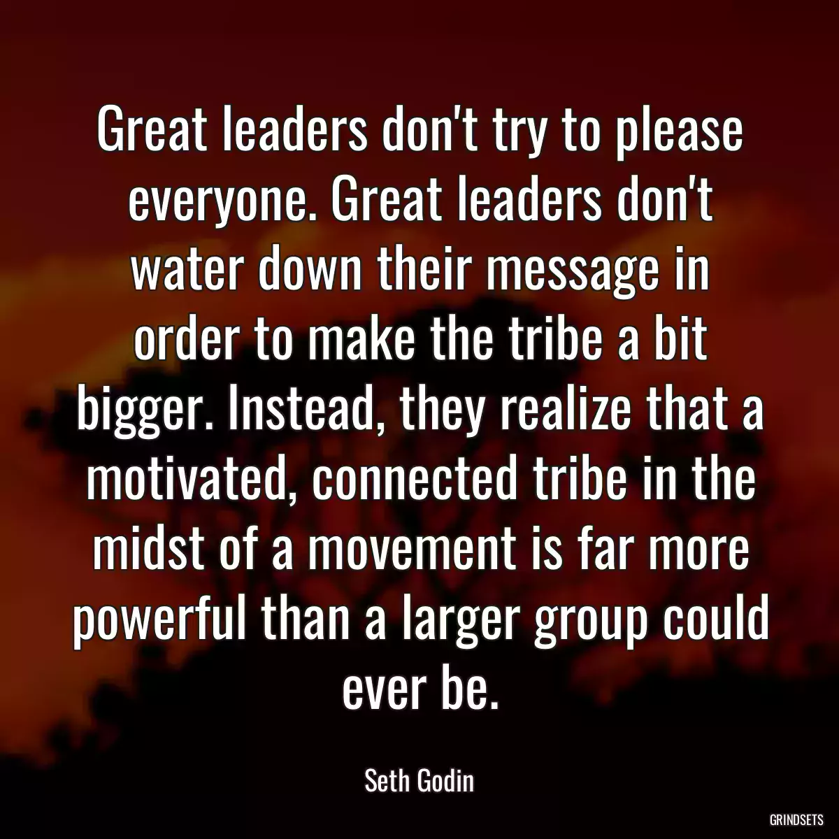Great leaders don\'t try to please everyone. Great leaders don\'t water down their message in order to make the tribe a bit bigger. Instead, they realize that a motivated, connected tribe in the midst of a movement is far more powerful than a larger group could ever be.
