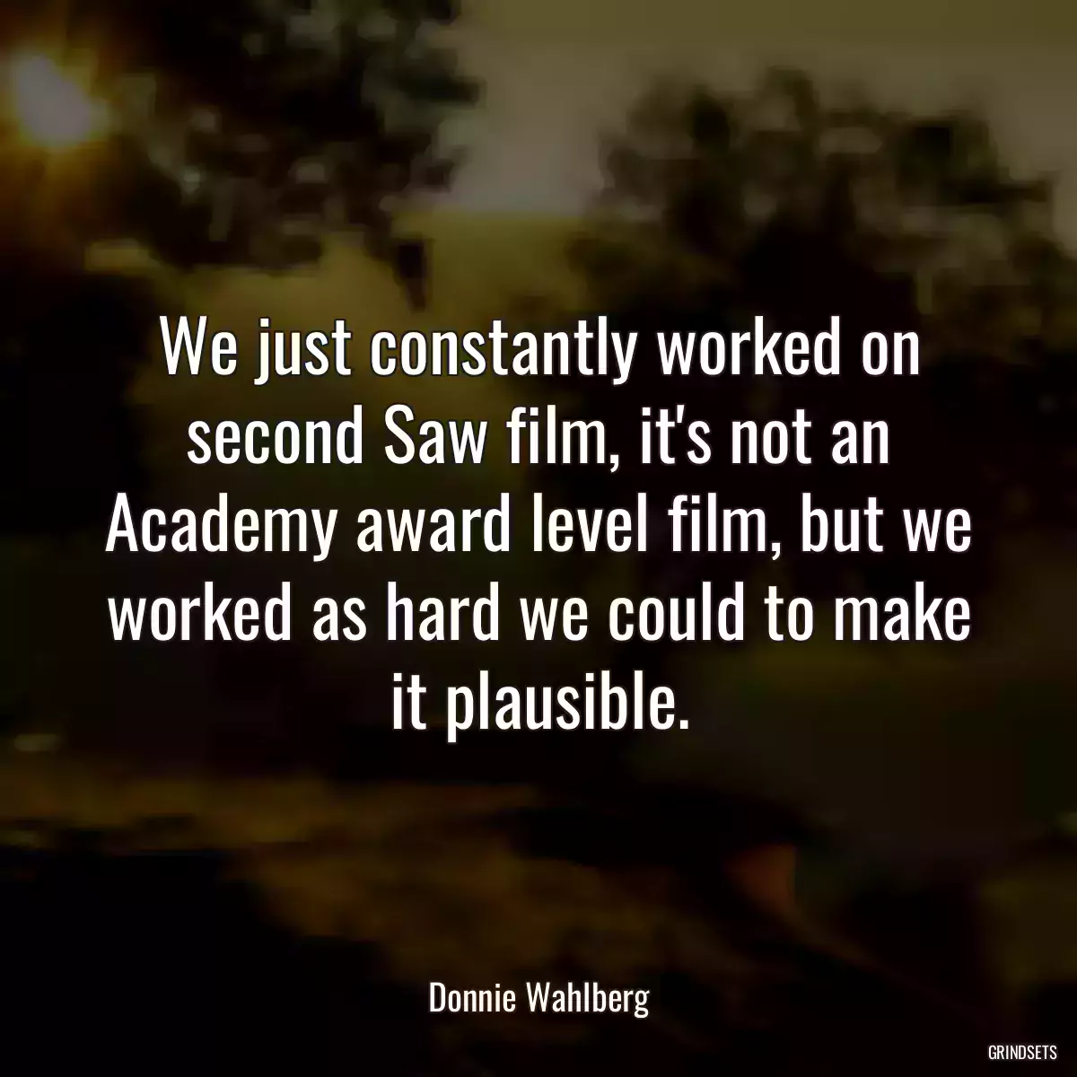 We just constantly worked on second Saw film, it\'s not an Academy award level film, but we worked as hard we could to make it plausible.