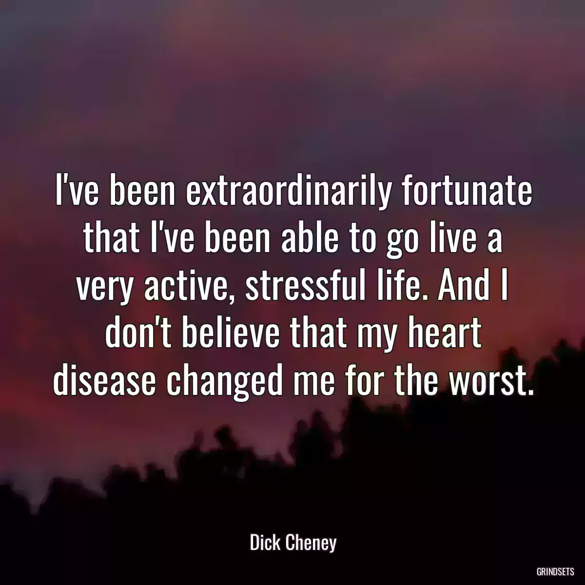 I\'ve been extraordinarily fortunate that I\'ve been able to go live a very active, stressful life. And I don\'t believe that my heart disease changed me for the worst.