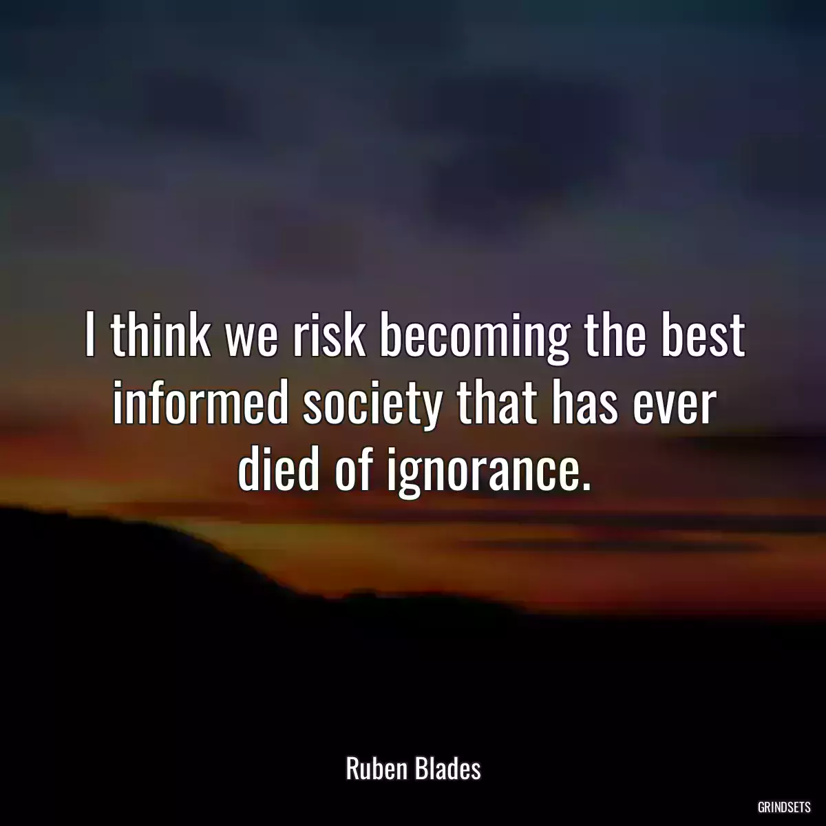 I think we risk becoming the best informed society that has ever died of ignorance.