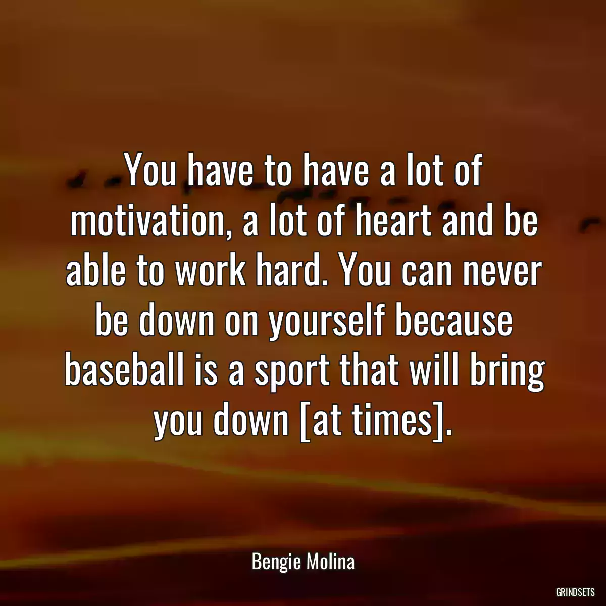 You have to have a lot of motivation, a lot of heart and be able to work hard. You can never be down on yourself because baseball is a sport that will bring you down [at times].