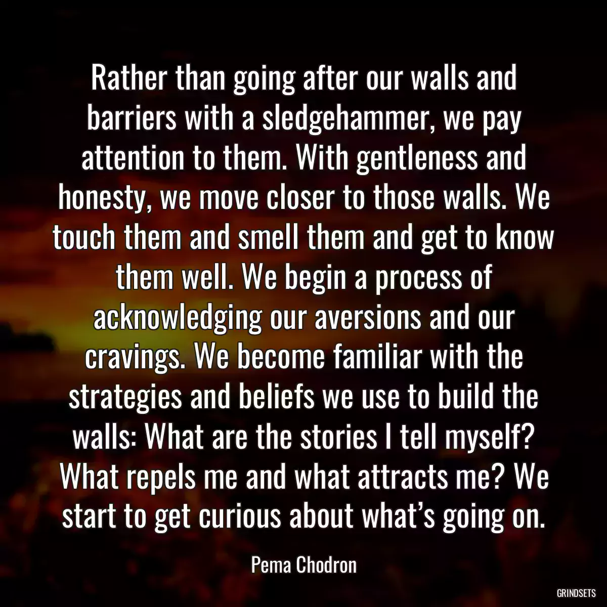 Rather than going after our walls and barriers with a sledgehammer, we pay attention to them. With gentleness and honesty, we move closer to those walls. We touch them and smell them and get to know them well. We begin a process of acknowledging our aversions and our cravings. We become familiar with the strategies and beliefs we use to build the walls: What are the stories I tell myself? What repels me and what attracts me? We start to get curious about what’s going on.