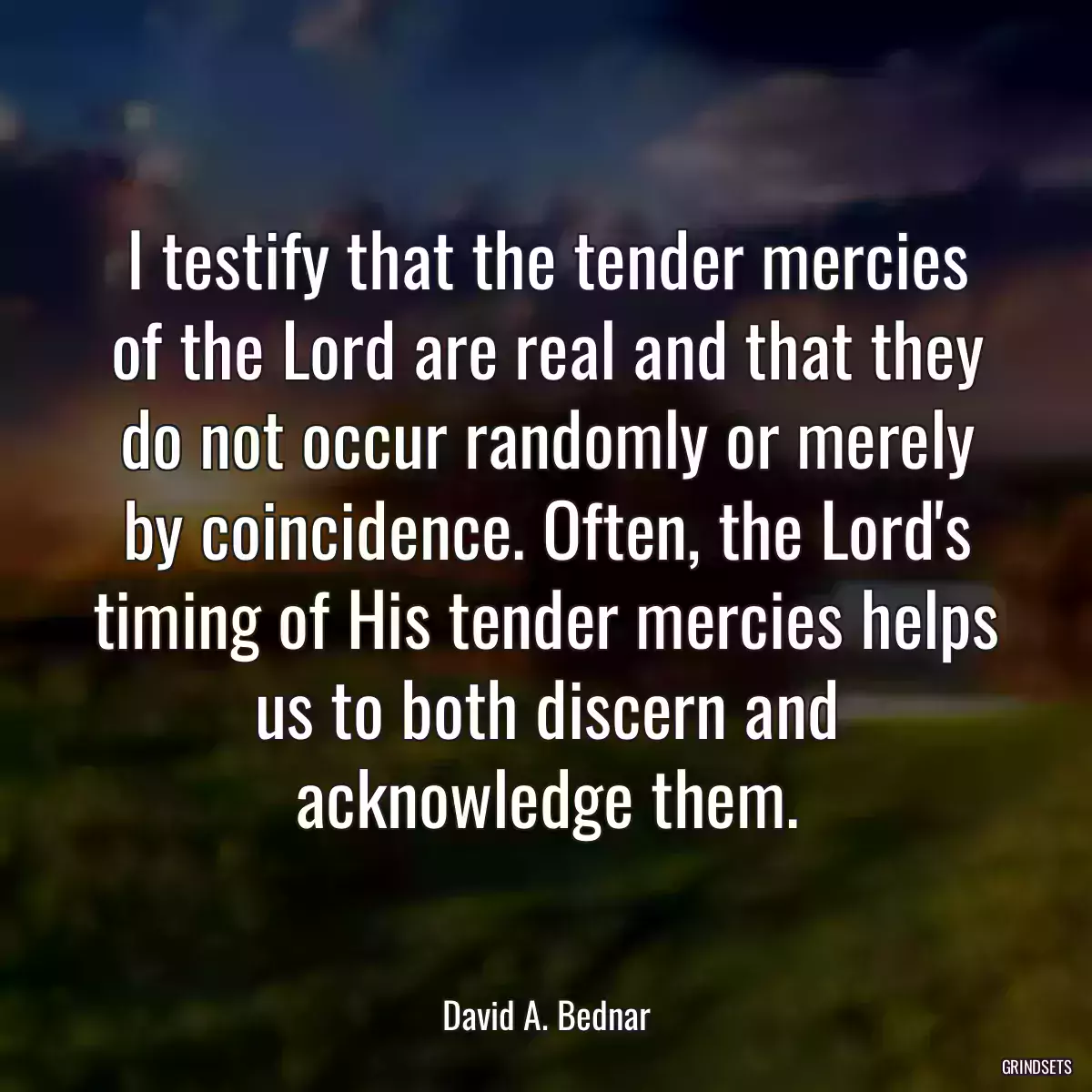 I testify that the tender mercies of the Lord are real and that they do not occur randomly or merely by coincidence. Often, the Lord\'s timing of His tender mercies helps us to both discern and acknowledge them.