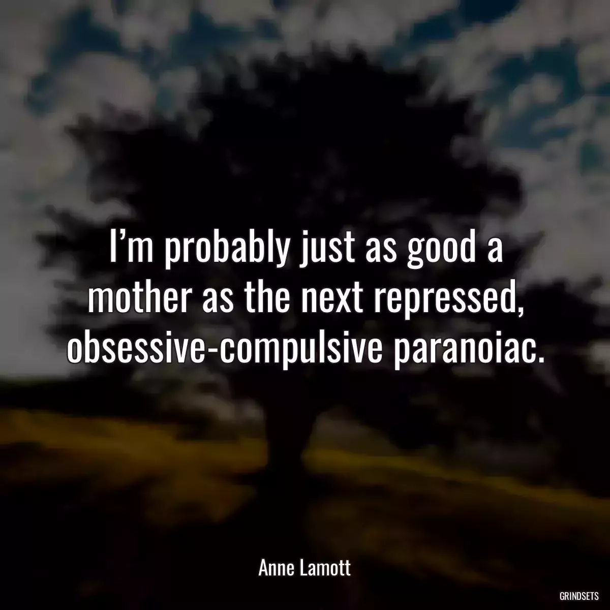 I’m probably just as good a mother as the next repressed, obsessive-compulsive paranoiac.