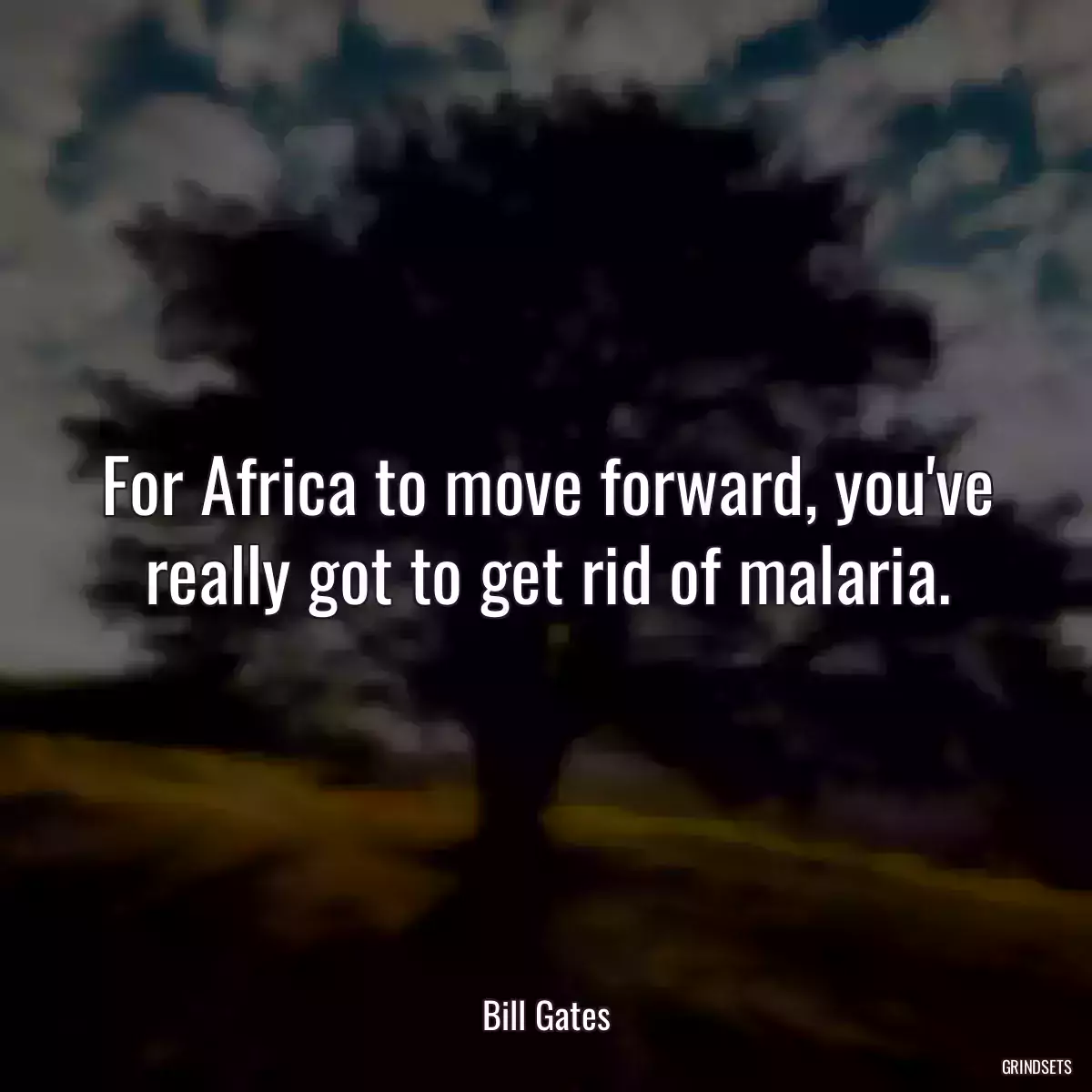 For Africa to move forward, you\'ve really got to get rid of malaria.