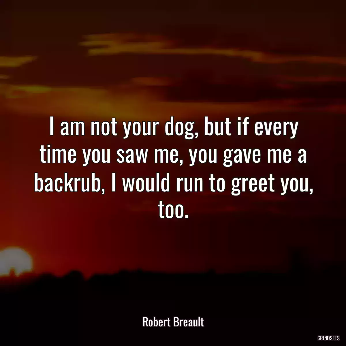 I am not your dog, but if every time you saw me, you gave me a backrub, I would run to greet you, too.