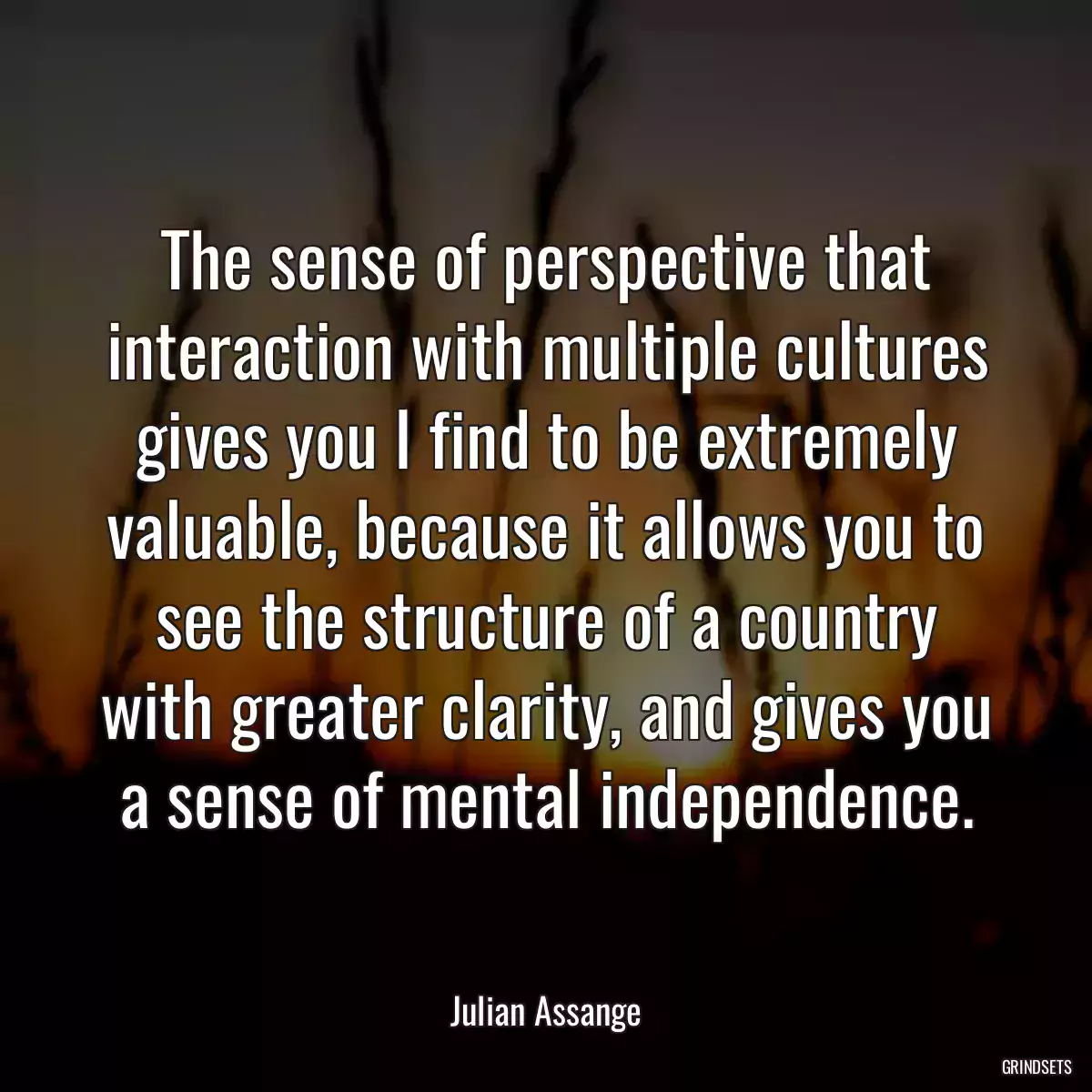 The sense of perspective that interaction with multiple cultures gives you I find to be extremely valuable, because it allows you to see the structure of a country with greater clarity, and gives you a sense of mental independence.