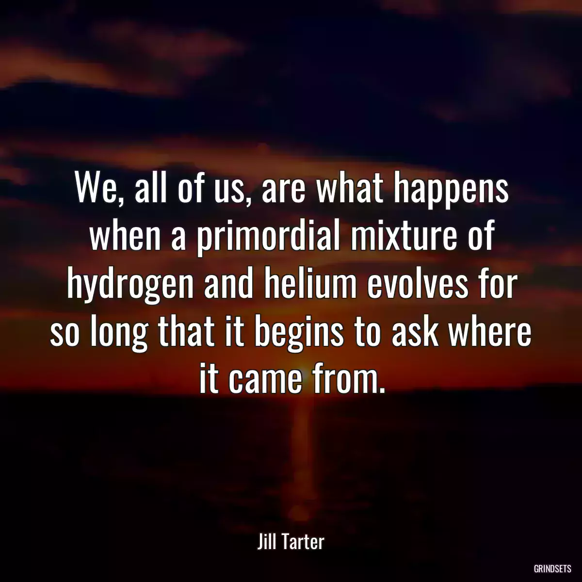 We, all of us, are what happens when a primordial mixture of hydrogen and helium evolves for so long that it begins to ask where it came from.