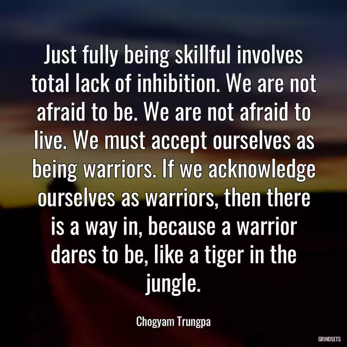 Just fully being skillful involves total lack of inhibition. We are not afraid to be. We are not afraid to live. We must accept ourselves as being warriors. If we acknowledge ourselves as warriors, then there is a way in, because a warrior dares to be, like a tiger in the jungle.