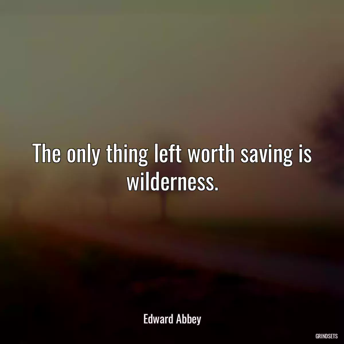 The only thing left worth saving is wilderness.