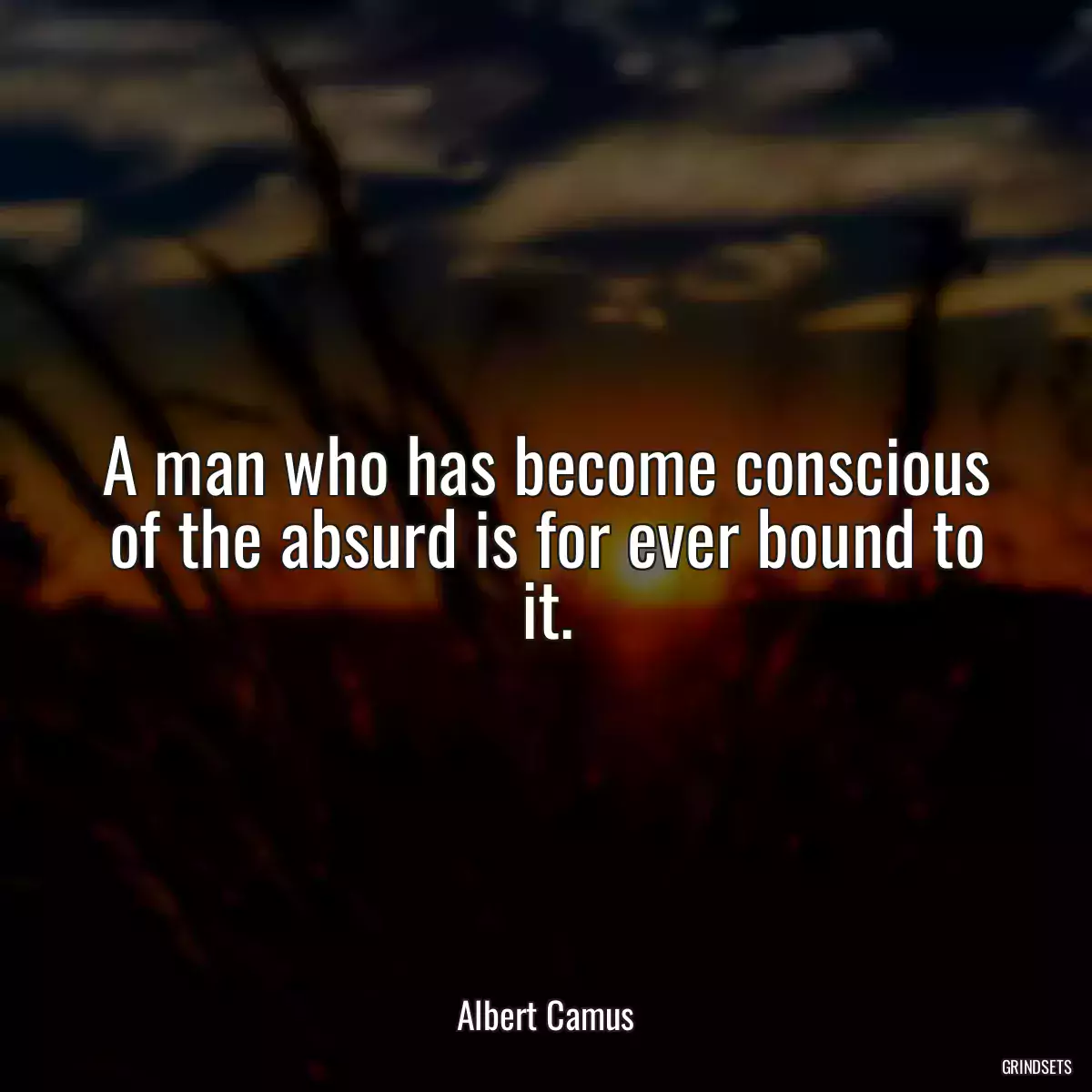 A man who has become conscious of the absurd is for ever bound to it.