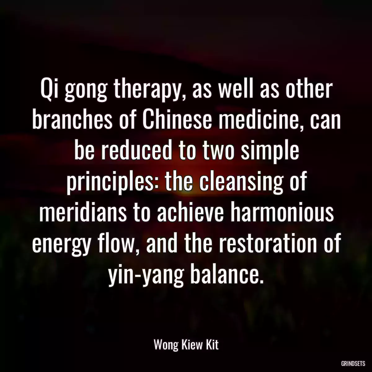 Qi gong therapy, as well as other branches of Chinese medicine, can be reduced to two simple principles: the cleansing of meridians to achieve harmonious energy flow, and the restoration of yin-yang balance.