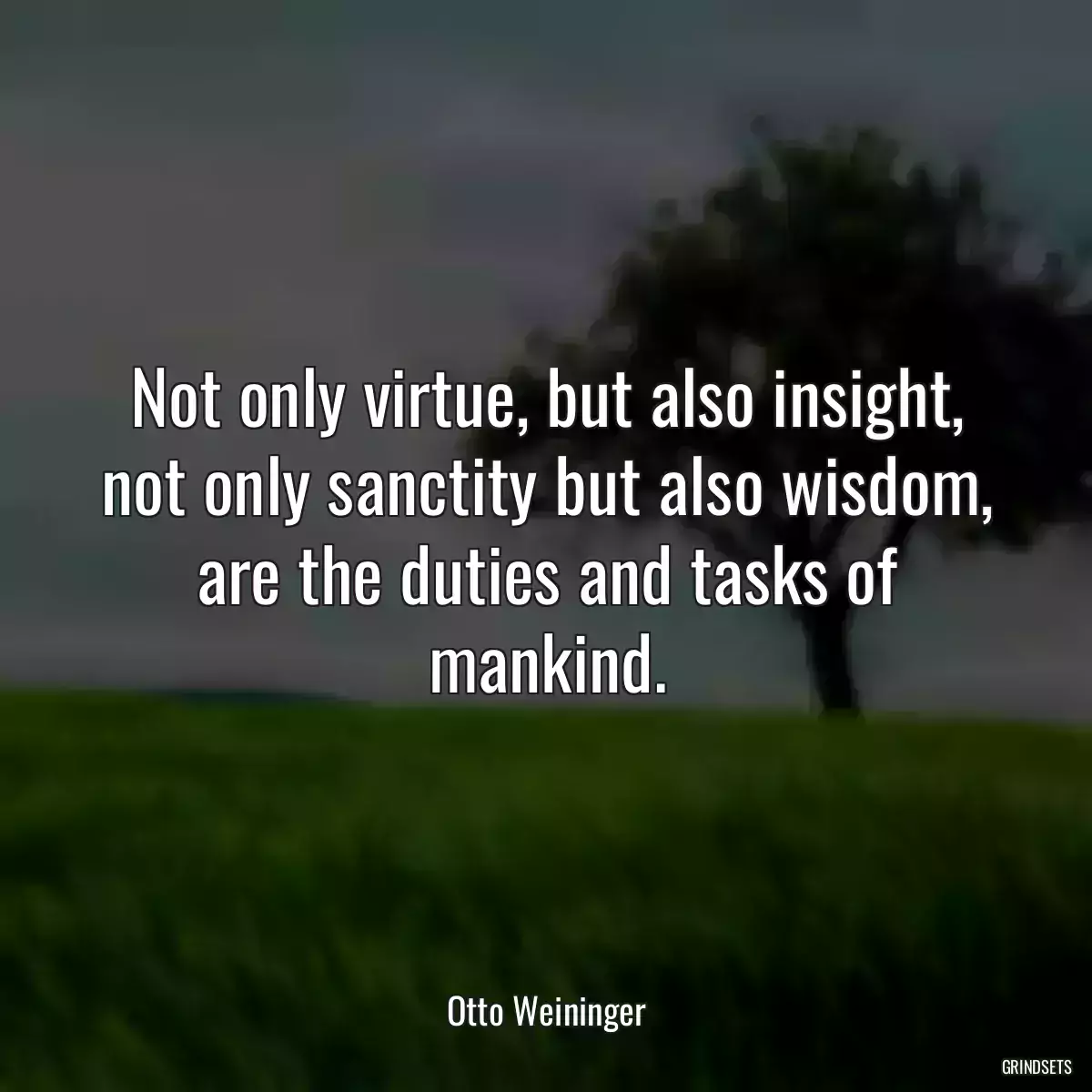 Not only virtue, but also insight, not only sanctity but also wisdom, are the duties and tasks of mankind.