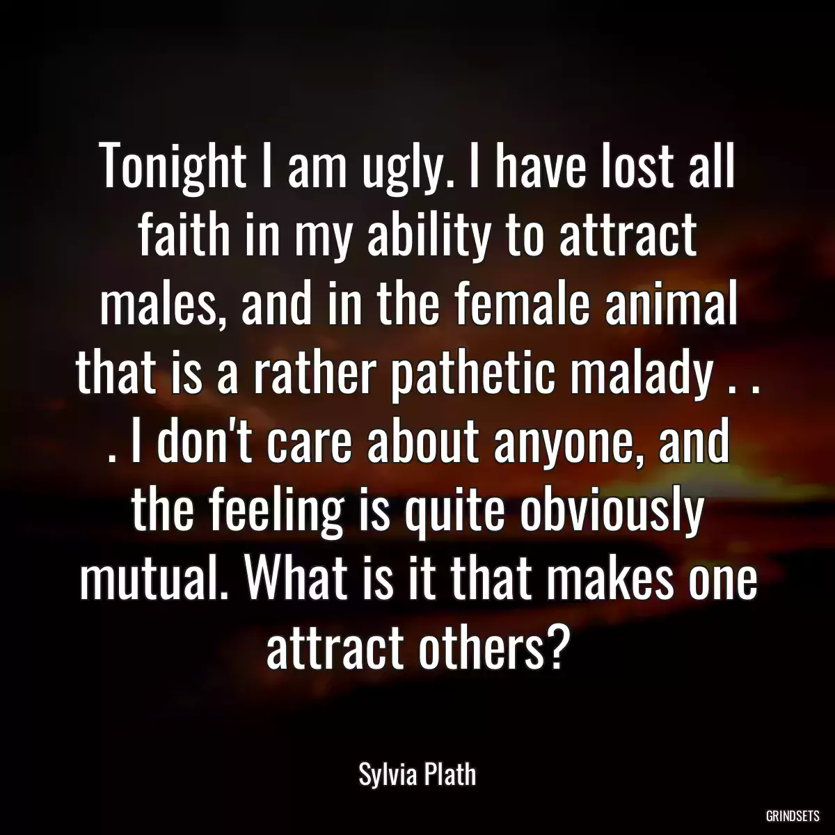 Tonight I am ugly. I have lost all faith in my ability to attract males, and in the female animal that is a rather pathetic malady . . . I don\'t care about anyone, and the feeling is quite obviously mutual. What is it that makes one attract others?