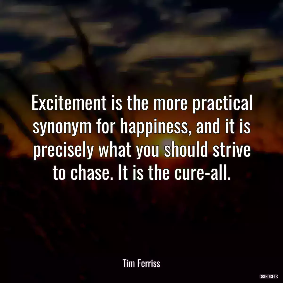 Excitement is the more practical synonym for happiness, and it is precisely what you should strive to chase. It is the cure-all.