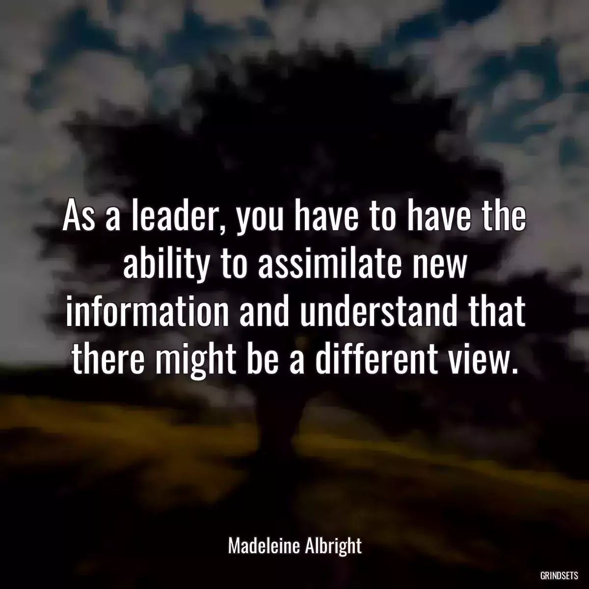 As a leader, you have to have the ability to assimilate new information and understand that there might be a different view.