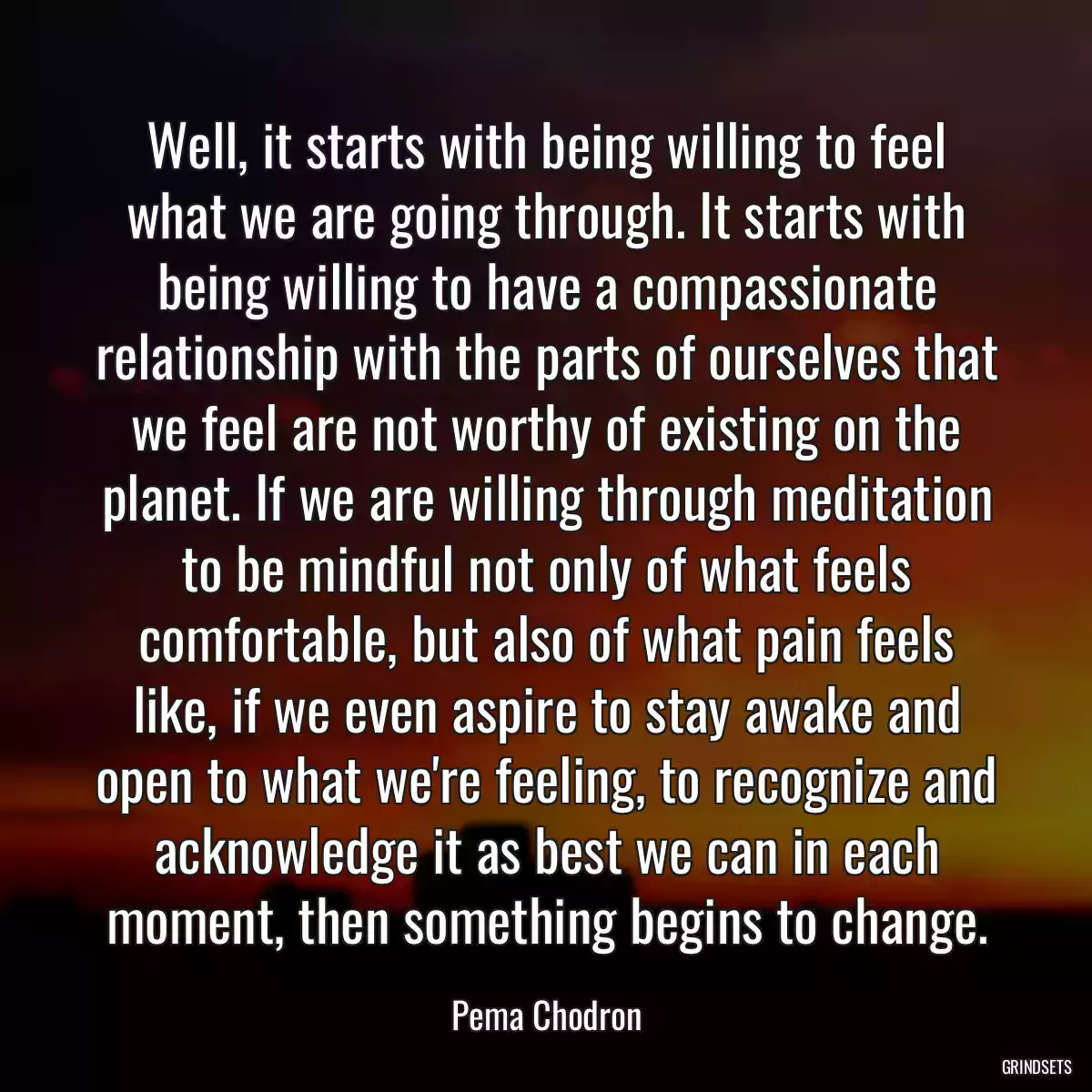 Well, it starts with being willing to feel what we are going through. It starts with being willing to have a compassionate relationship with the parts of ourselves that we feel are not worthy of existing on the planet. If we are willing through meditation to be mindful not only of what feels comfortable, but also of what pain feels like, if we even aspire to stay awake and open to what we\'re feeling, to recognize and acknowledge it as best we can in each moment, then something begins to change.