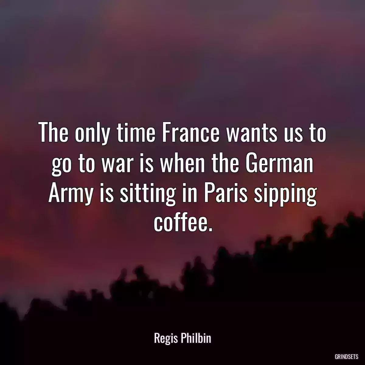 The only time France wants us to go to war is when the German Army is sitting in Paris sipping coffee.