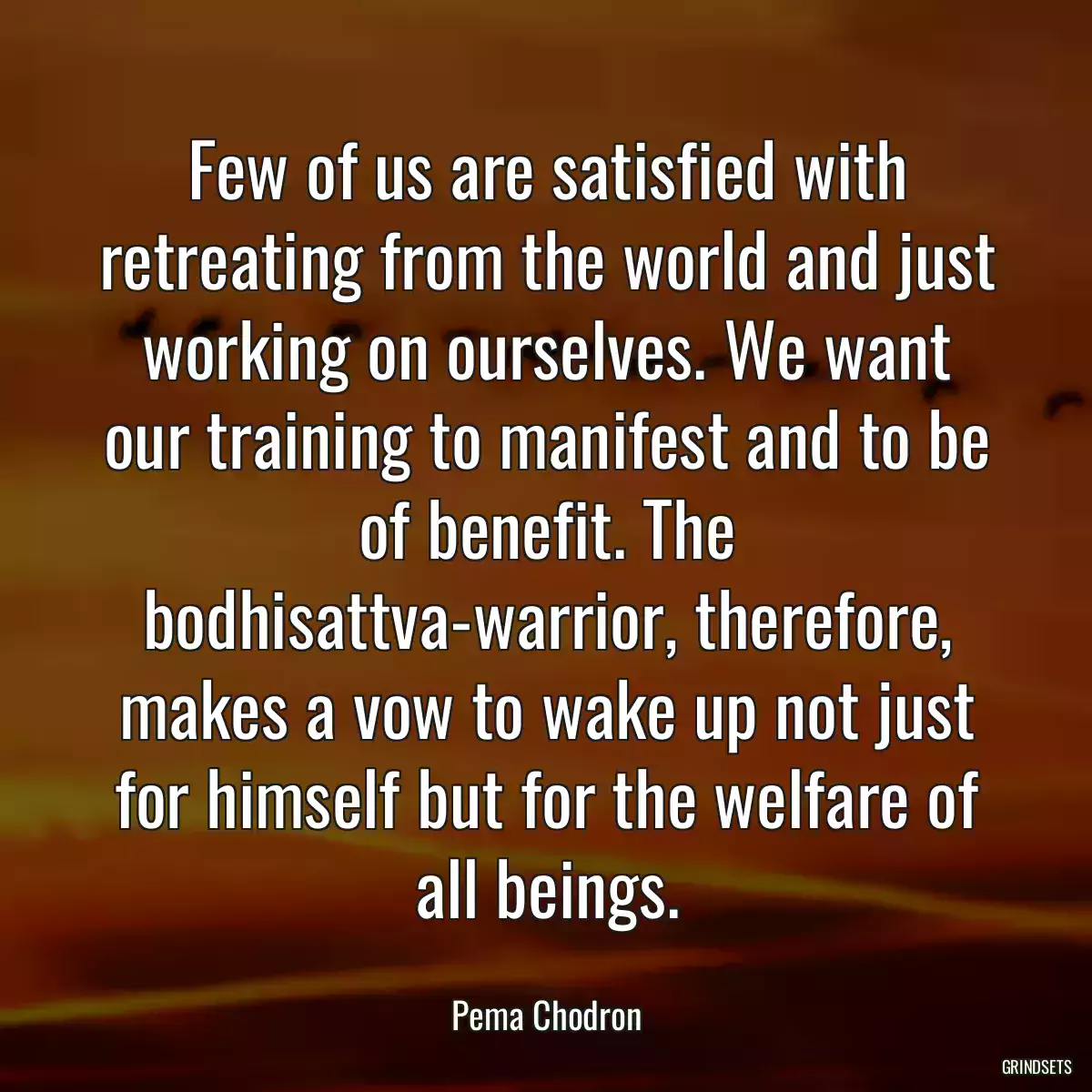 Few of us are satisfied with retreating from the world and just working on ourselves. We want our training to manifest and to be of benefit. The bodhisattva-warrior, therefore, makes a vow to wake up not just for himself but for the welfare of all beings.