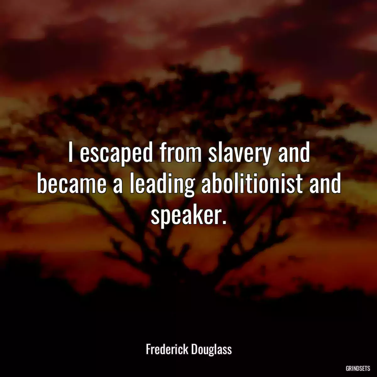 I escaped from slavery and became a leading abolitionist and speaker.