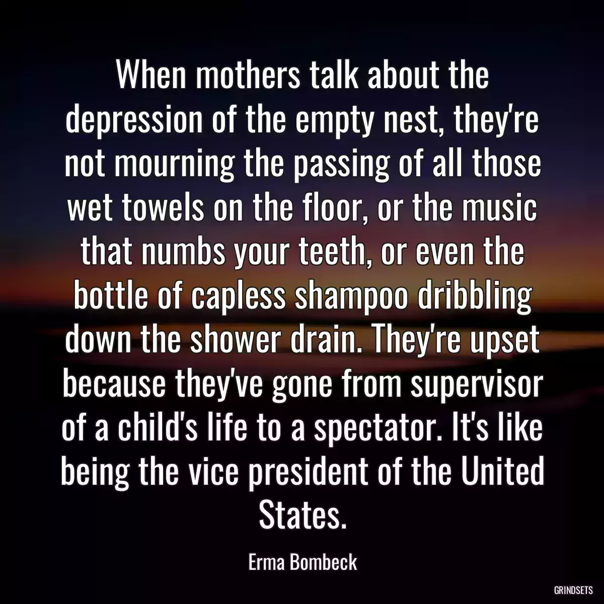 When mothers talk about the depression of the empty nest, they\'re not mourning the passing of all those wet towels on the floor, or the music that numbs your teeth, or even the bottle of capless shampoo dribbling down the shower drain. They\'re upset because they\'ve gone from supervisor of a child\'s life to a spectator. It\'s like being the vice president of the United States.