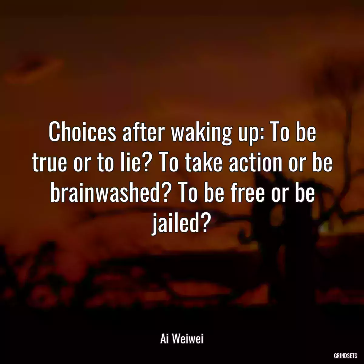 Choices after waking up: To be true or to lie? To take action or be brainwashed? To be free or be jailed?