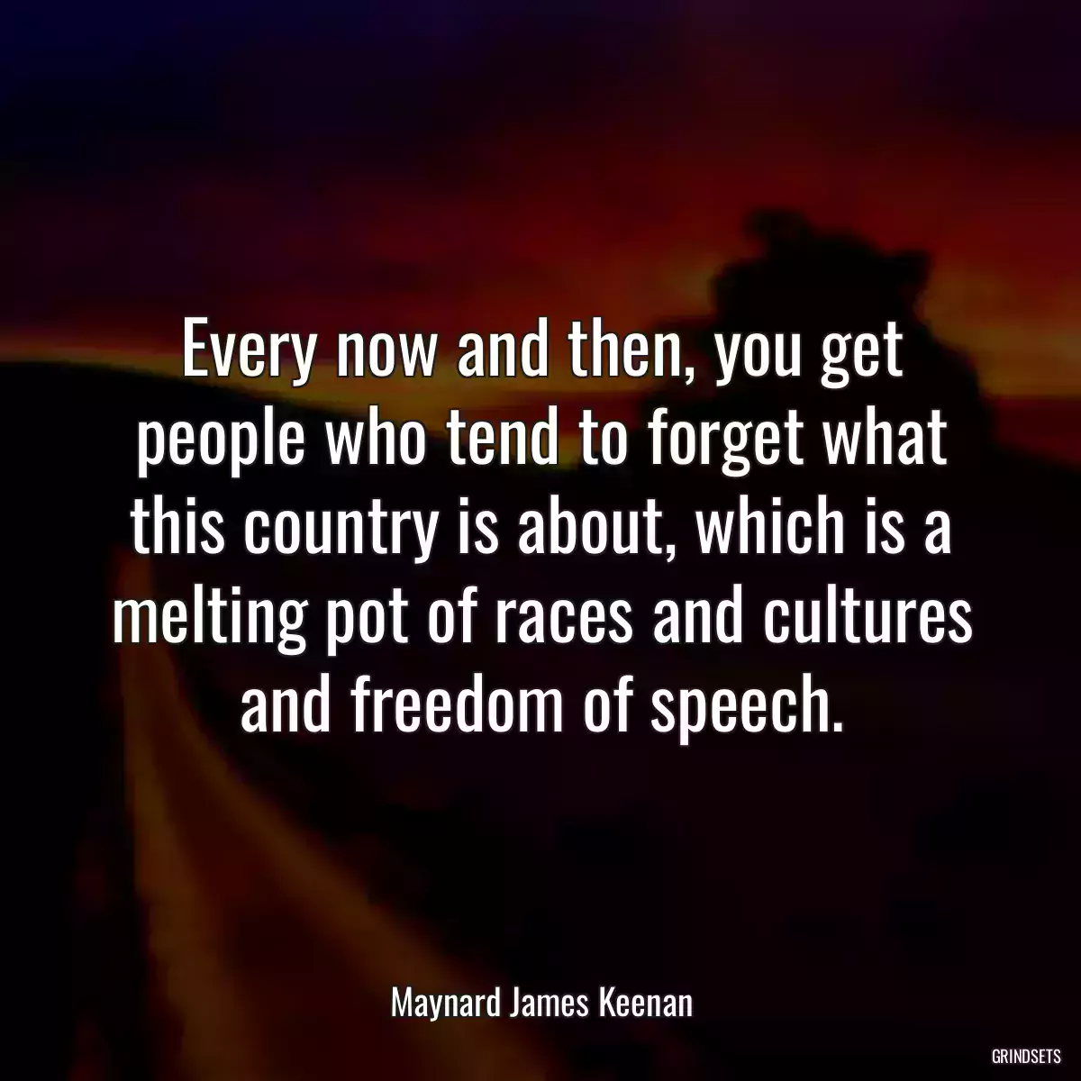 Every now and then, you get people who tend to forget what this country is about, which is a melting pot of races and cultures and freedom of speech.