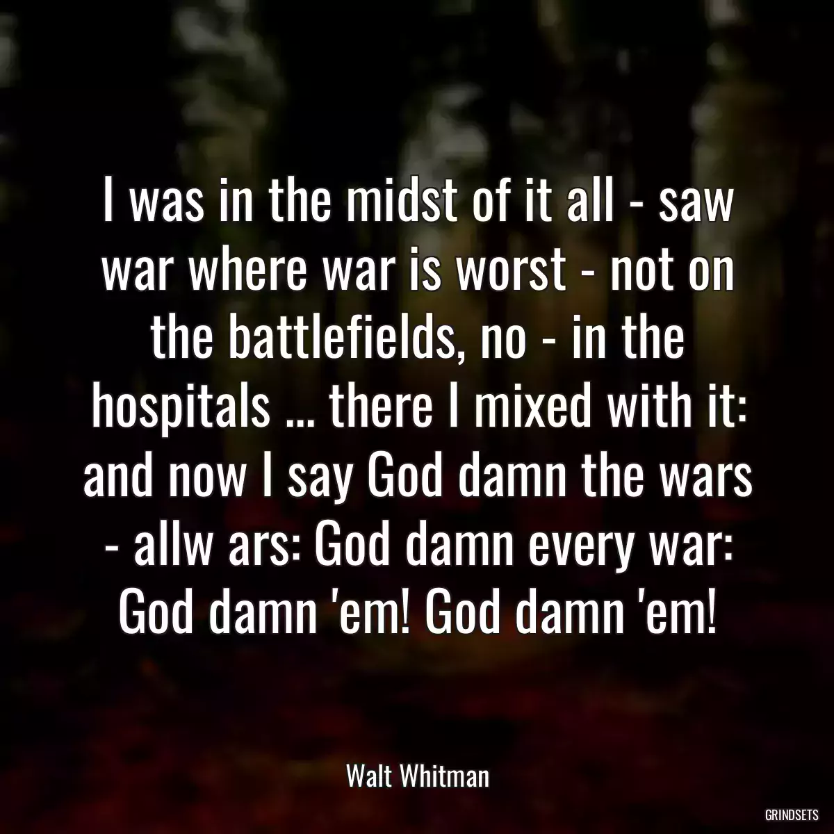 I was in the midst of it all - saw war where war is worst - not on the battlefields, no - in the hospitals ... there I mixed with it: and now I say God damn the wars - allw ars: God damn every war: God damn \'em! God damn \'em!