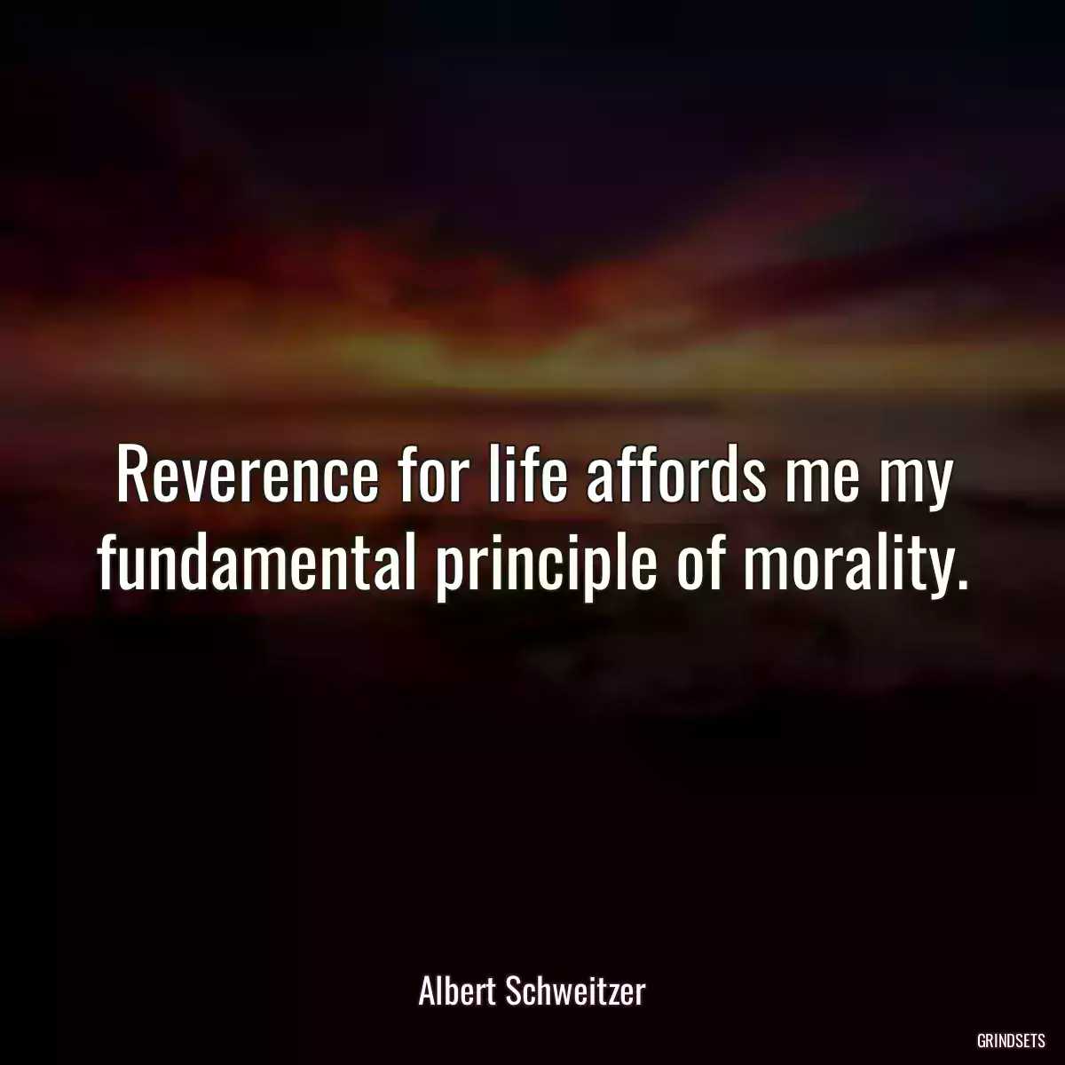 Reverence for life affords me my fundamental principle of morality.