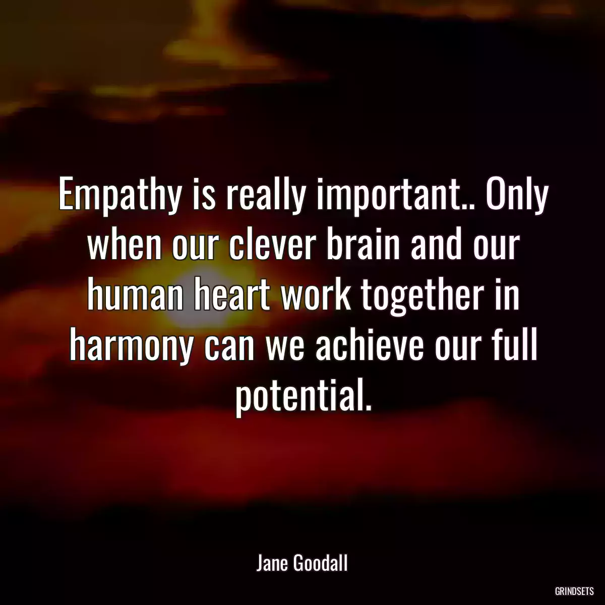 Empathy is really important.. Only when our clever brain and our human heart work together in harmony can we achieve our full potential.