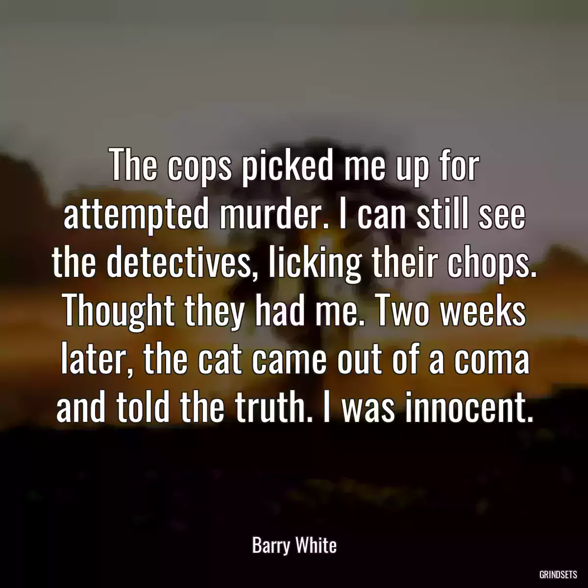 The cops picked me up for attempted murder. I can still see the detectives, licking their chops. Thought they had me. Two weeks later, the cat came out of a coma and told the truth. I was innocent.