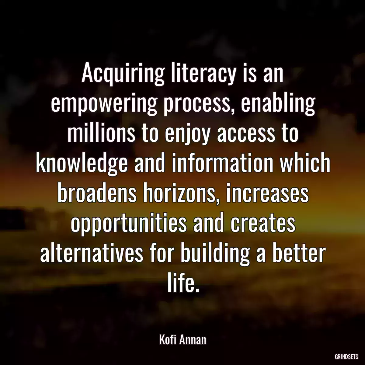 Acquiring literacy is an empowering process, enabling millions to enjoy access to knowledge and information which broadens horizons, increases opportunities and creates alternatives for building a better life.