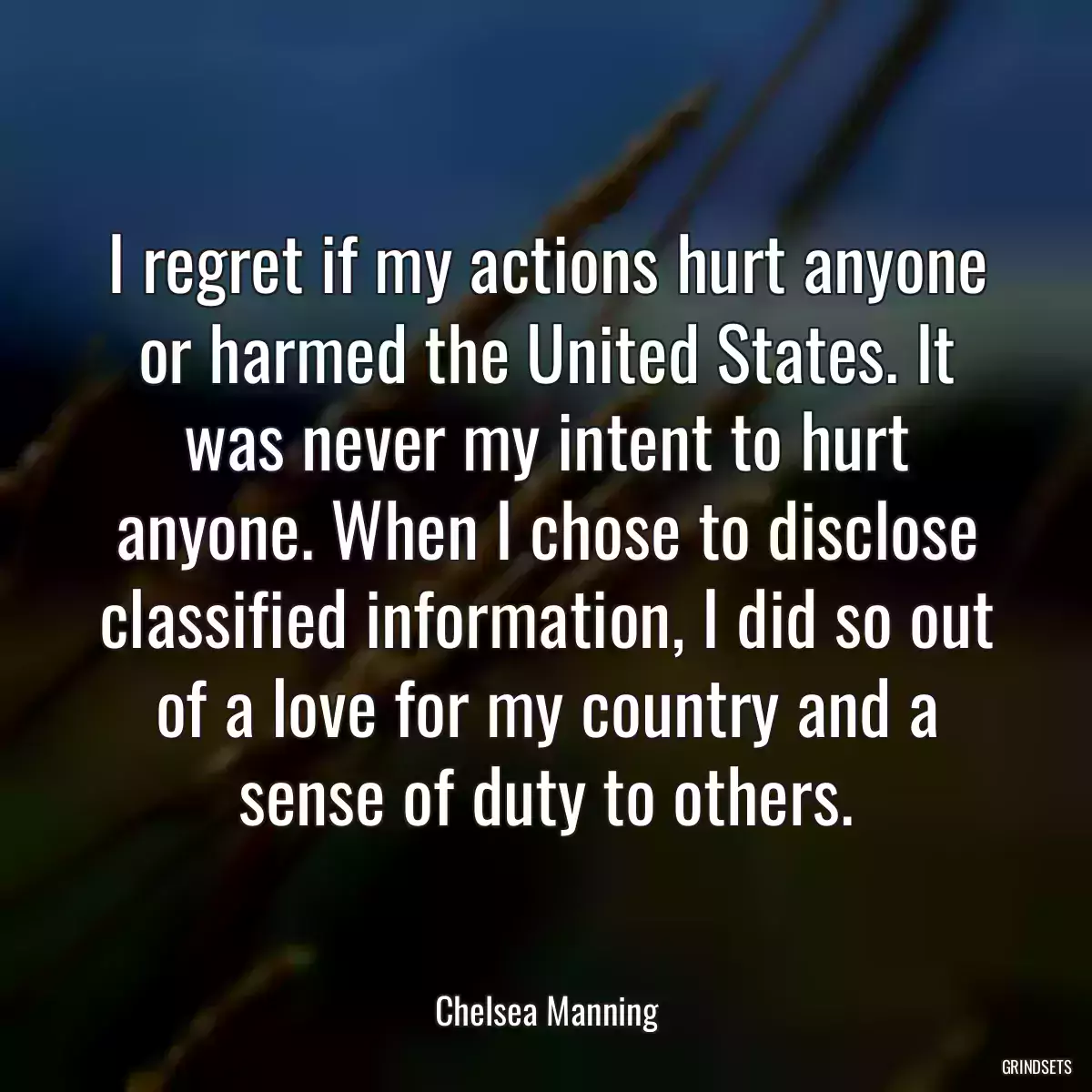 I regret if my actions hurt anyone or harmed the United States. It was never my intent to hurt anyone. When I chose to disclose classified information, I did so out of a love for my country and a sense of duty to others.