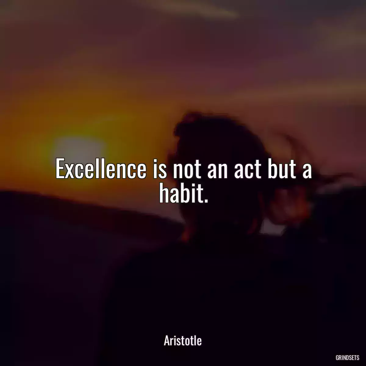 Excellence is not an act but a habit.