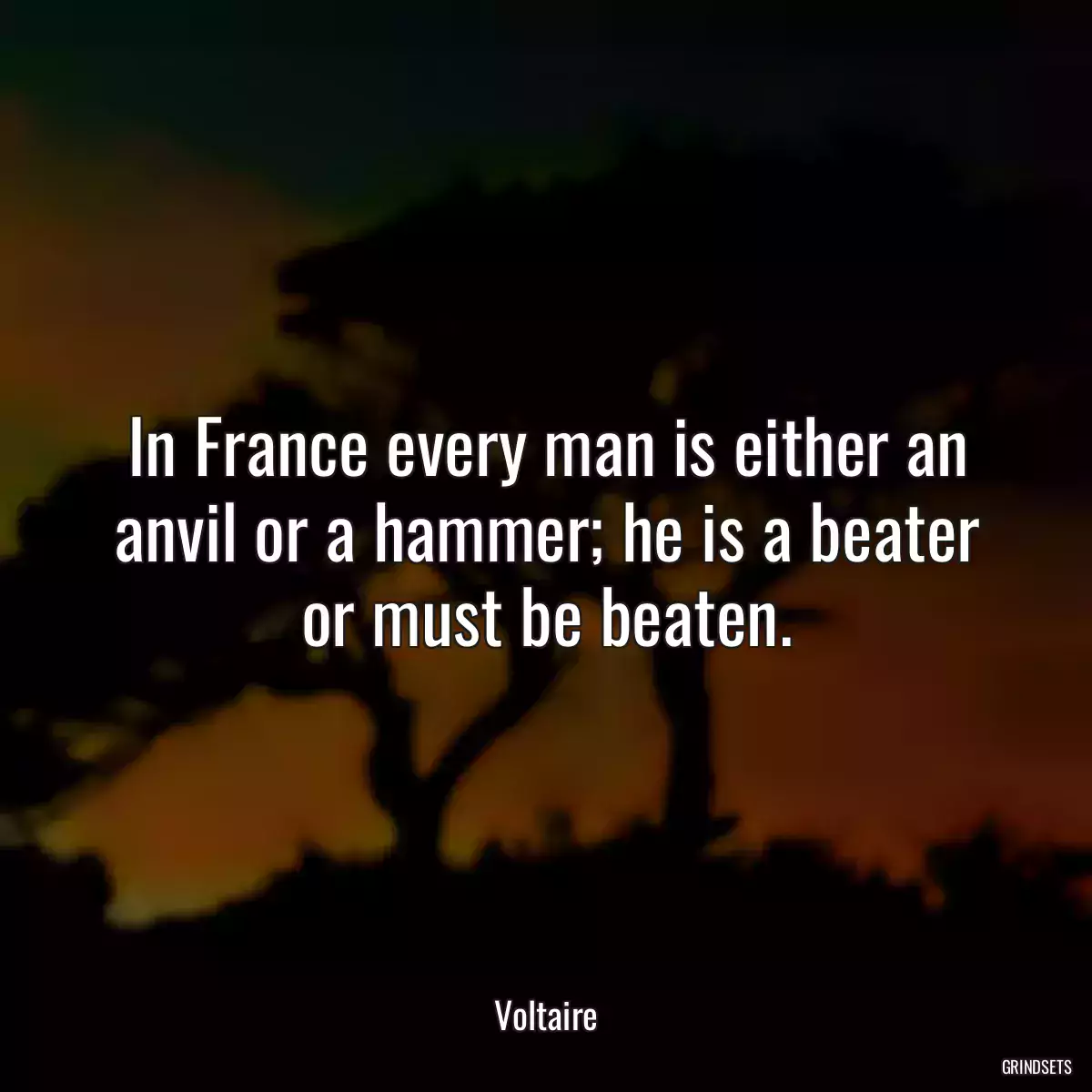 In France every man is either an anvil or a hammer; he is a beater or must be beaten.