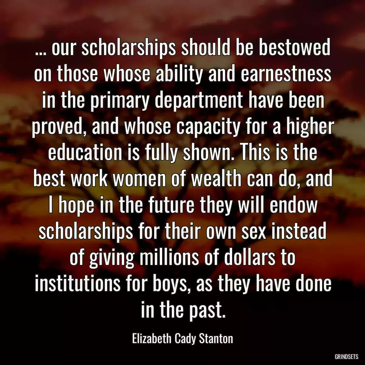 ... our scholarships should be bestowed on those whose ability and earnestness in the primary department have been proved, and whose capacity for a higher education is fully shown. This is the best work women of wealth can do, and I hope in the future they will endow scholarships for their own sex instead of giving millions of dollars to institutions for boys, as they have done in the past.