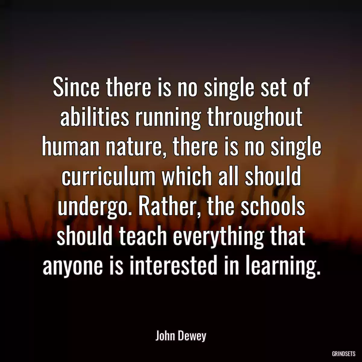 Since there is no single set of abilities running throughout human nature, there is no single curriculum which all should undergo. Rather, the schools should teach everything that anyone is interested in learning.