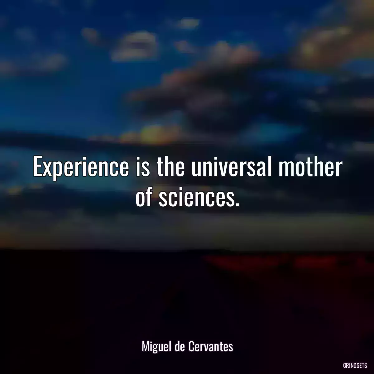 Experience is the universal mother of sciences.