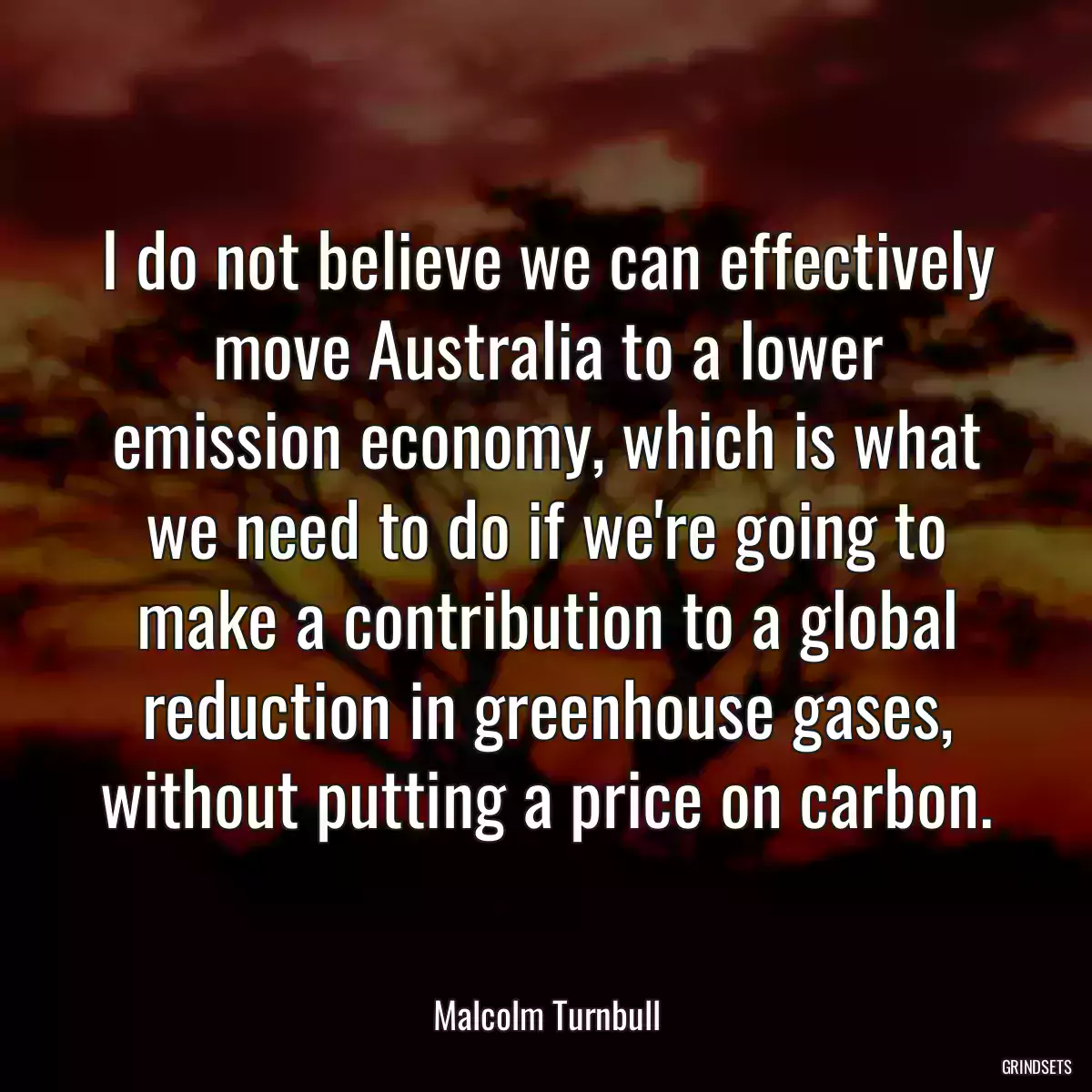 I do not believe we can effectively move Australia to a lower emission economy, which is what we need to do if we\'re going to make a contribution to a global reduction in greenhouse gases, without putting a price on carbon.