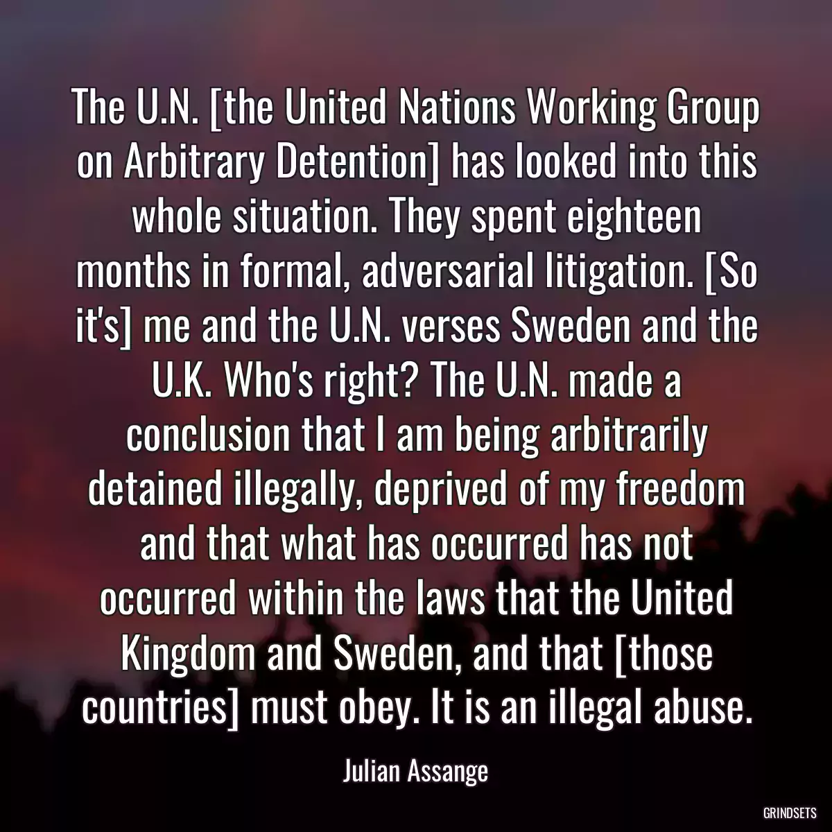 The U.N. [the United Nations Working Group on Arbitrary Detention] has looked into this whole situation. They spent eighteen months in formal, adversarial litigation. [So it\'s] me and the U.N. verses Sweden and the U.K. Who\'s right? The U.N. made a conclusion that I am being arbitrarily detained illegally, deprived of my freedom and that what has occurred has not occurred within the laws that the United Kingdom and Sweden, and that [those countries] must obey. It is an illegal abuse.