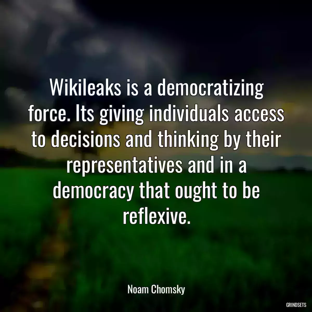 Wikileaks is a democratizing force. Its giving individuals access to decisions and thinking by their representatives and in a democracy that ought to be reflexive.