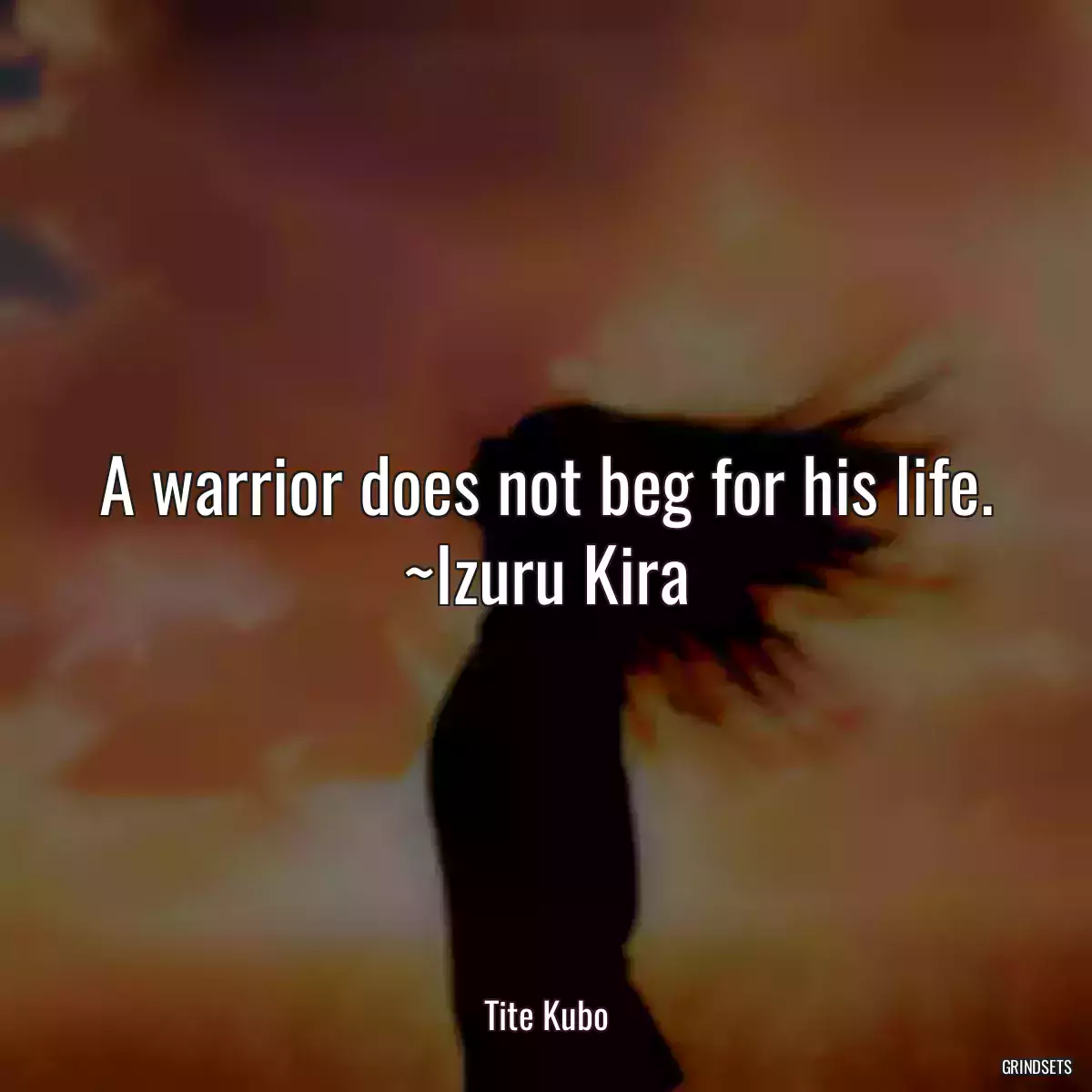 A warrior does not beg for his life. ~Izuru Kira