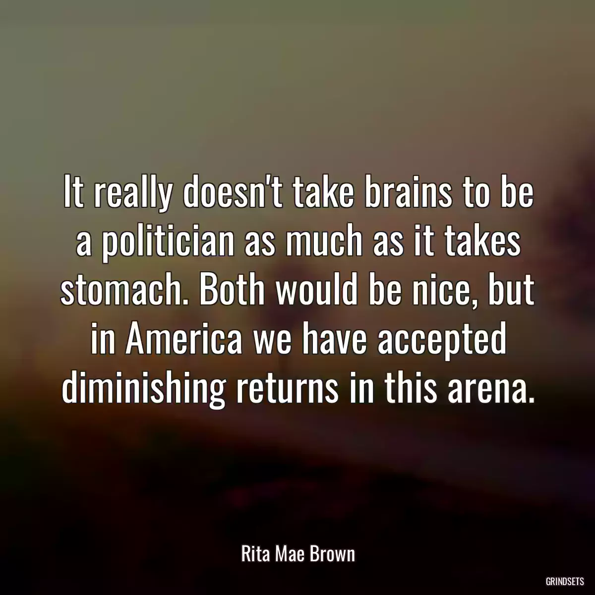 It really doesn\'t take brains to be a politician as much as it takes stomach. Both would be nice, but in America we have accepted diminishing returns in this arena.